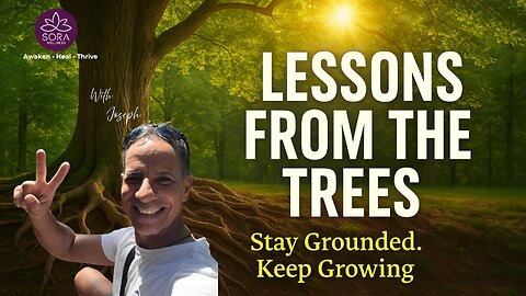 Lessons From Trees