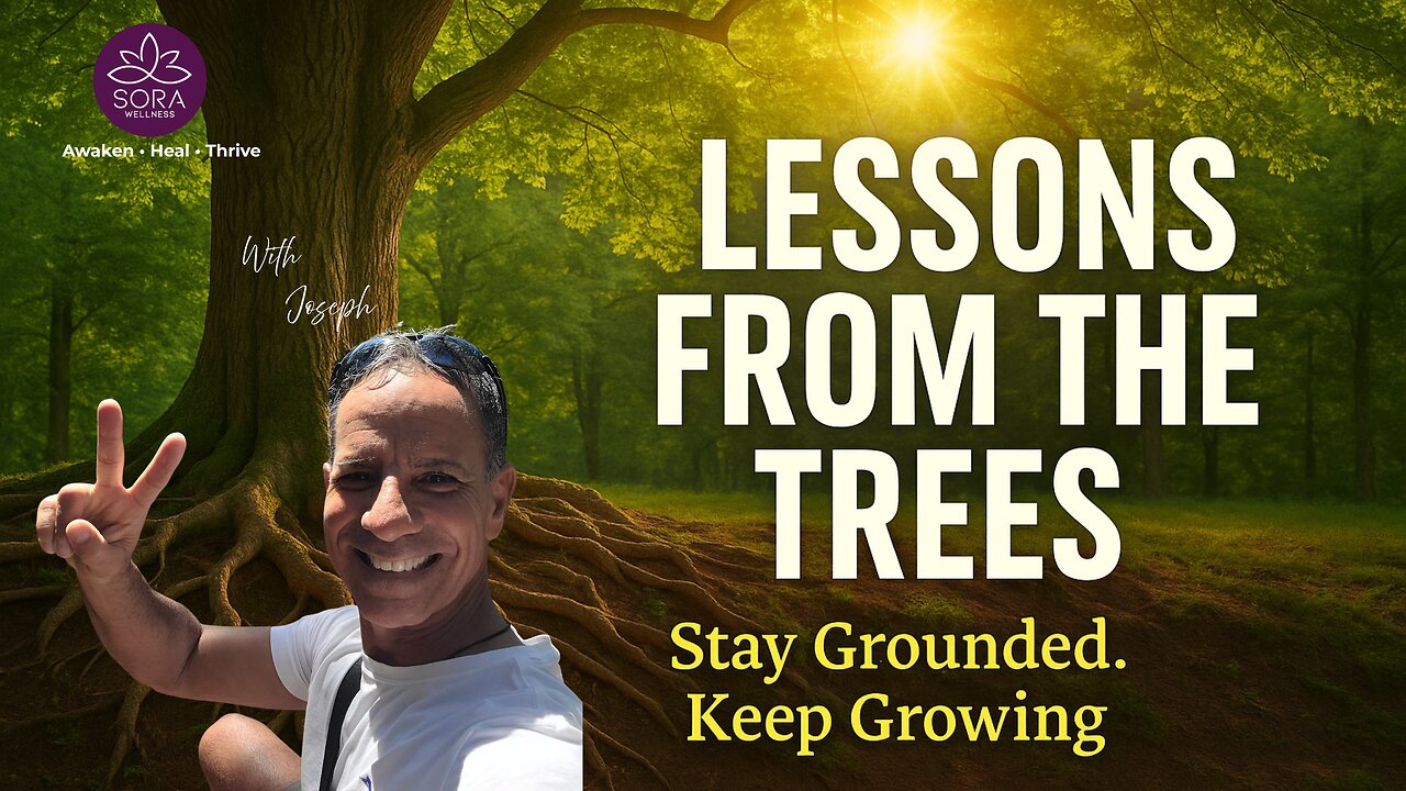 Lessons From Trees