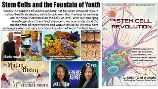 Stem Cells and the Fountain of Youth