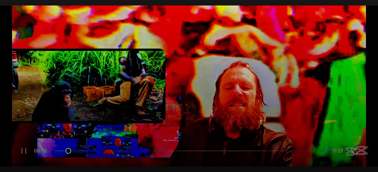 as we see it's quite foolhardy handing an AK47 to a chimpanzee