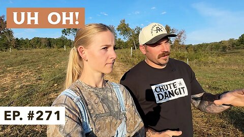 New Homesteaders - Cow Was Not Happy
