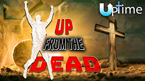 UP ⤴️ from the Dead