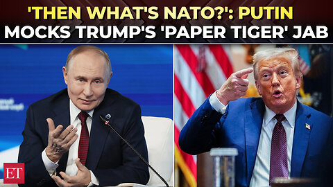 ‘If Russia is a paper tiger, then what’s NATO?’: Putin mocks Trump publicly over Ukraine war jibe