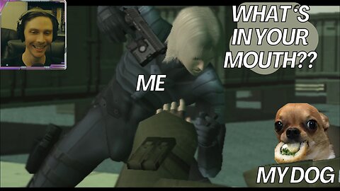 Eat and Grow Sneaky - Metal Gear Solid 2 Longplay (pt2)