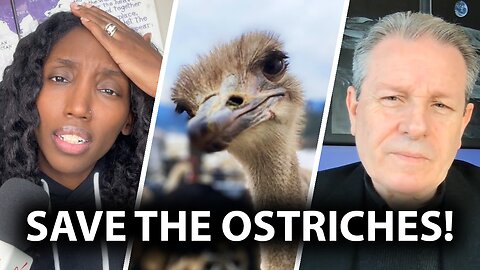 Scientist sounds alarm over Canada’s decision to kill ostriches