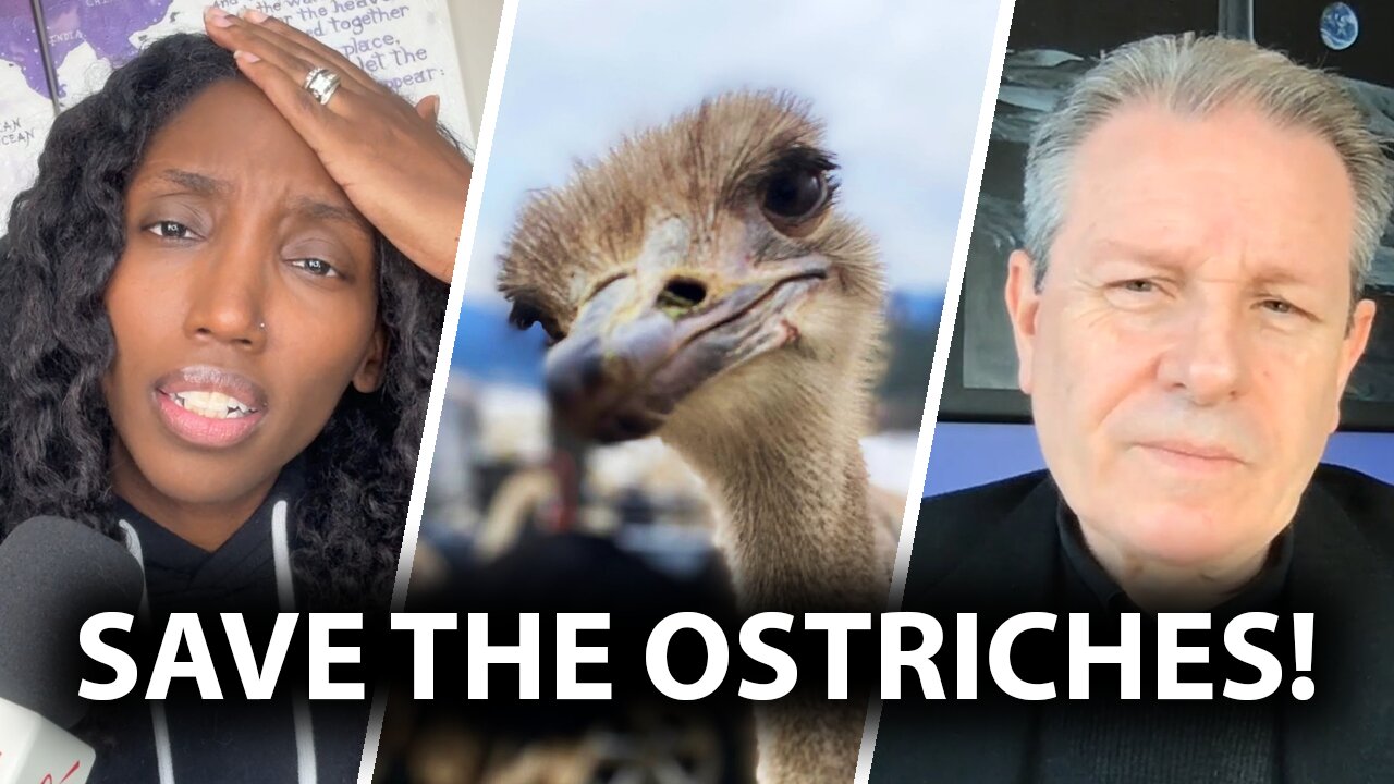 Scientist sounds alarm over Canada’s decision to kill ostriches