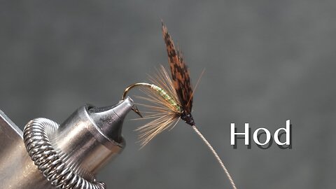 Hod: a classic wet fly pattern from Favorite Flies and Their Histories (1892) by Mary Orvis Marbury