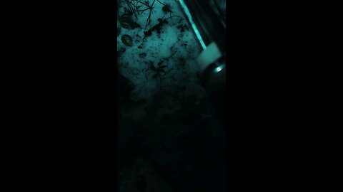 Coyote Howls and Frozen Trails || ASMR