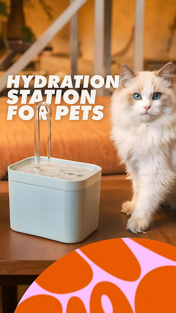 Automatic Pet Water Fountain