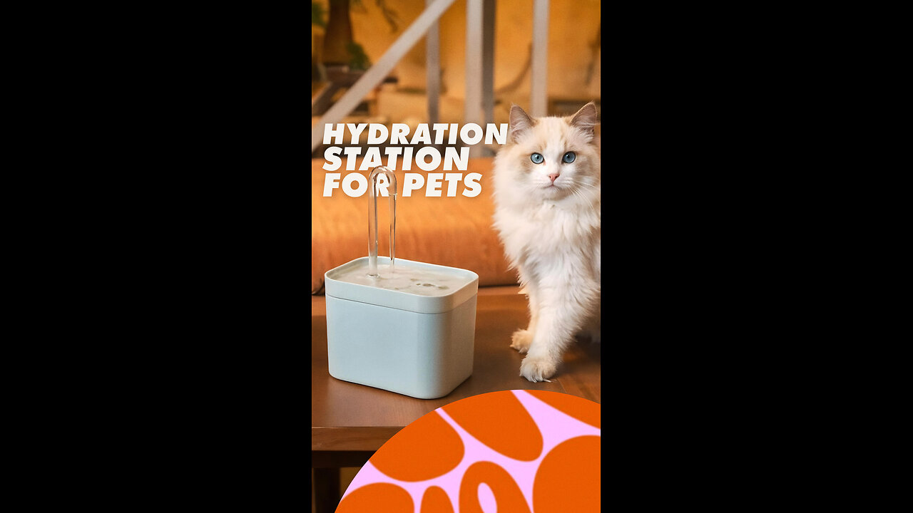 Automatic Pet Water Fountain