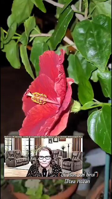 Oltea Hozan poezia -Cu Isus Vei Birui!- #editor Valentin Trif #caleacătrerai #poetry #poezie