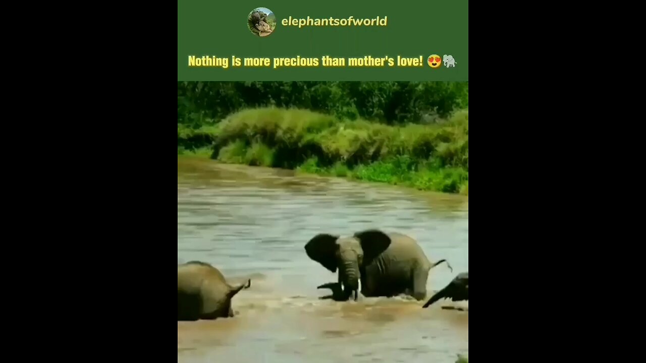 MUM'S LOVE