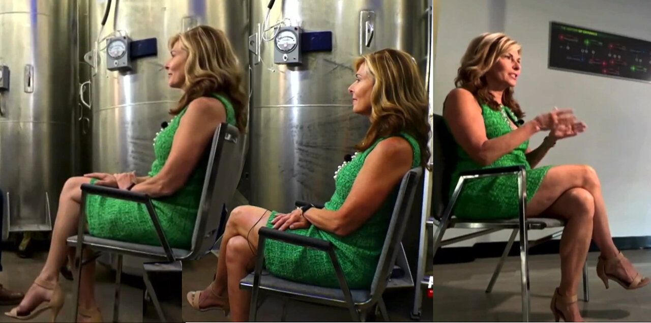 Sharyl Attkisson Nov 22 2025