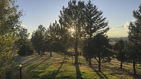 A good day outside