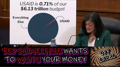 Second Half Of Democrats Crying About Not Being Able To Launder Your Money