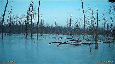 Neue Eiszeit! Wittenburg 23.01.2026