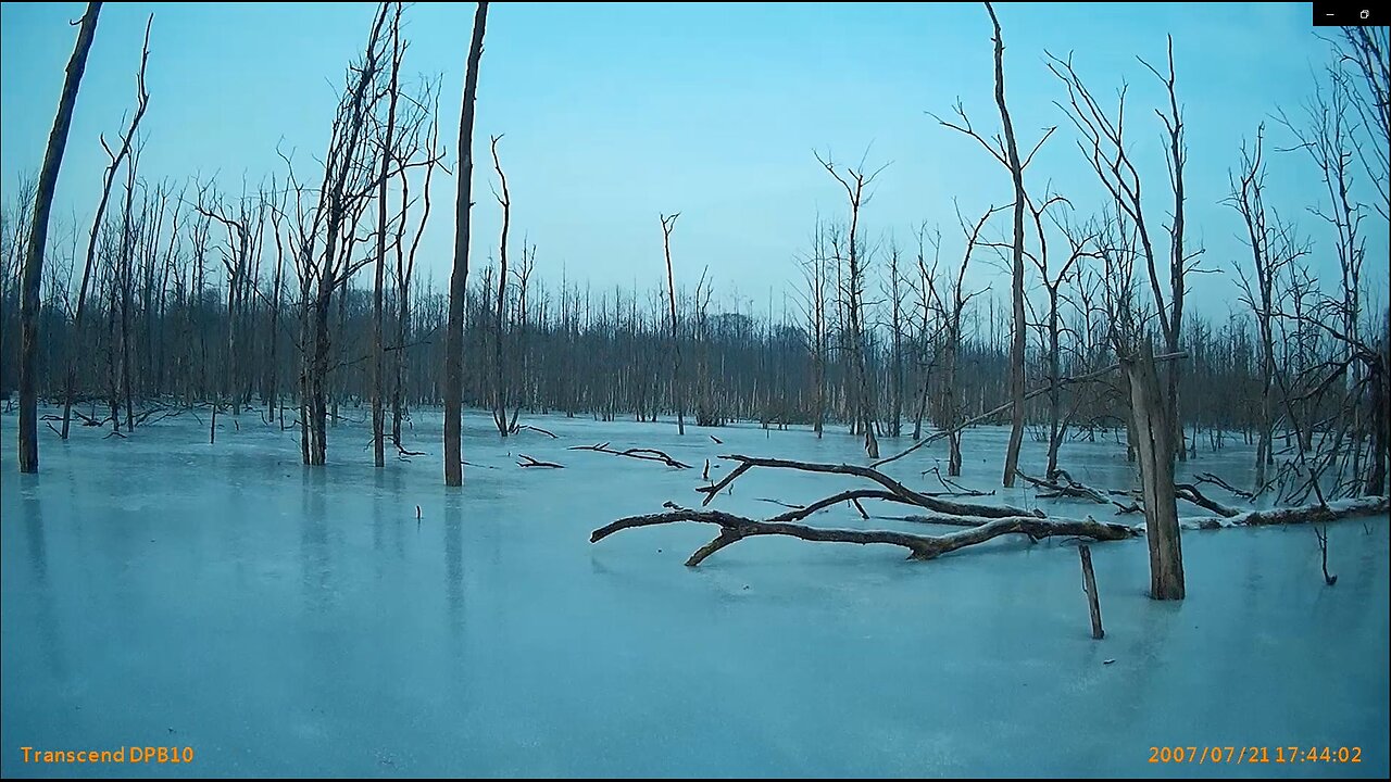 Neue Eiszeit! Wittenburg 23.01.2026