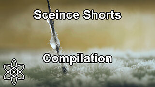 Fall 2025 Science Shorts Compilation | ⚛