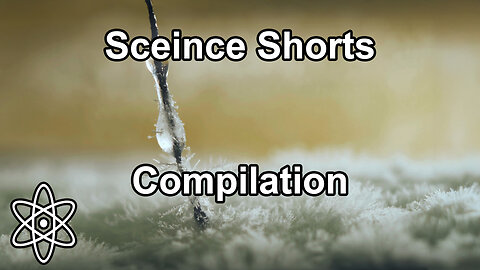 Fall 2025 Science Shorts Compilation | ⚛