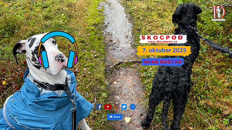 Skogpod 7. oktober 2025