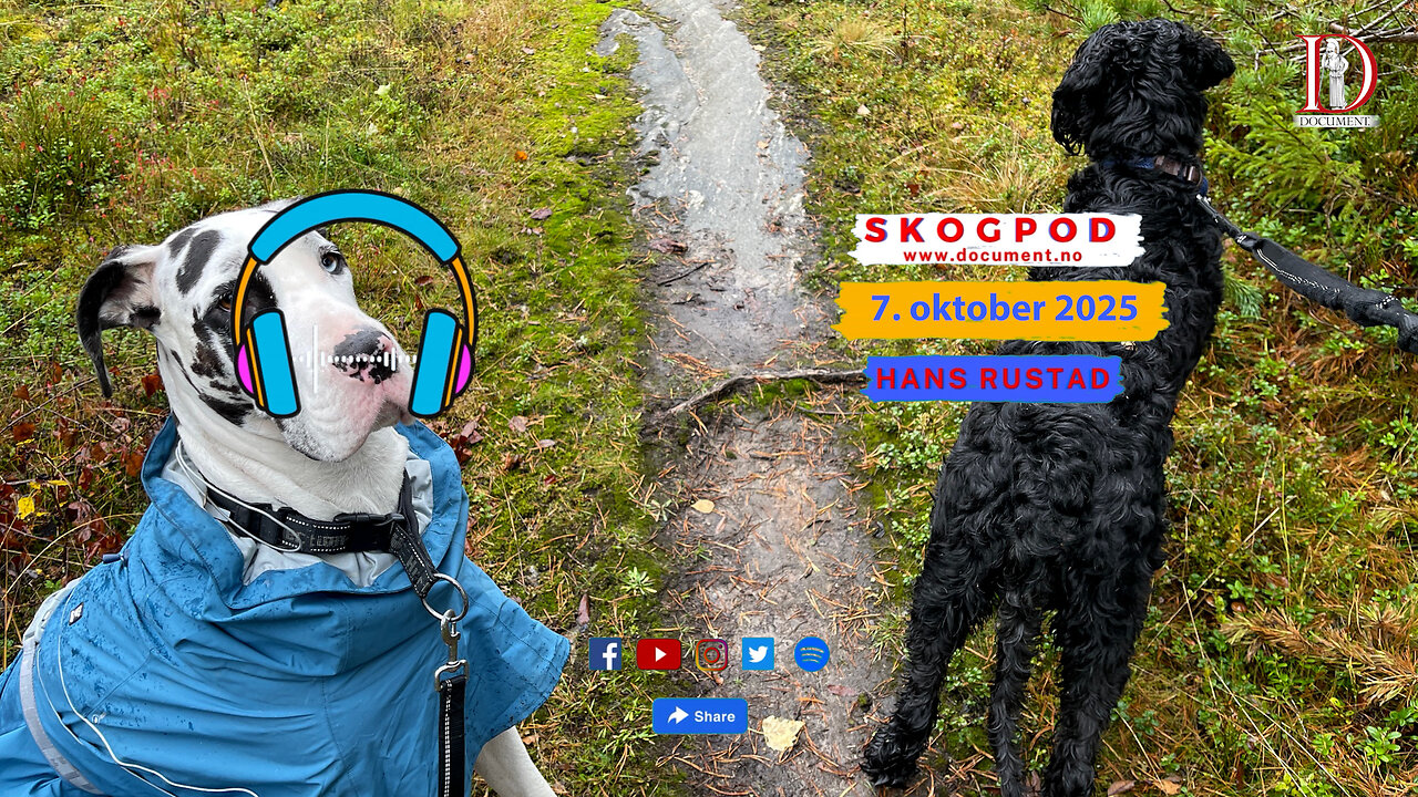Skogpod 7. oktober 2025