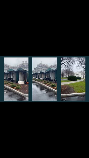 ⚡Today at the White House. What are they doing there?