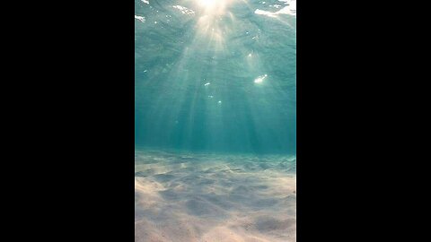 Great background noise and scene to relax too