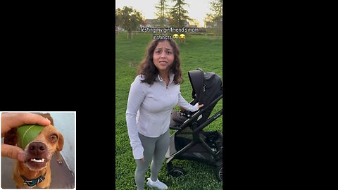 Funny videos compilation 62