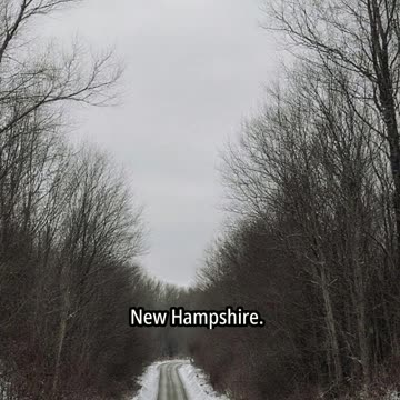 "The Mysterious Disappearance of Maura Murray: 21-Year-Old Vanishes Without a Trace"