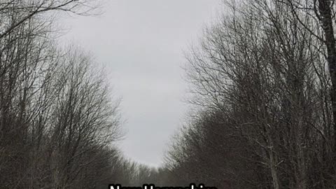 "The Mysterious Disappearance of Maura Murray: 21-Year-Old Vanishes Without a Trace"