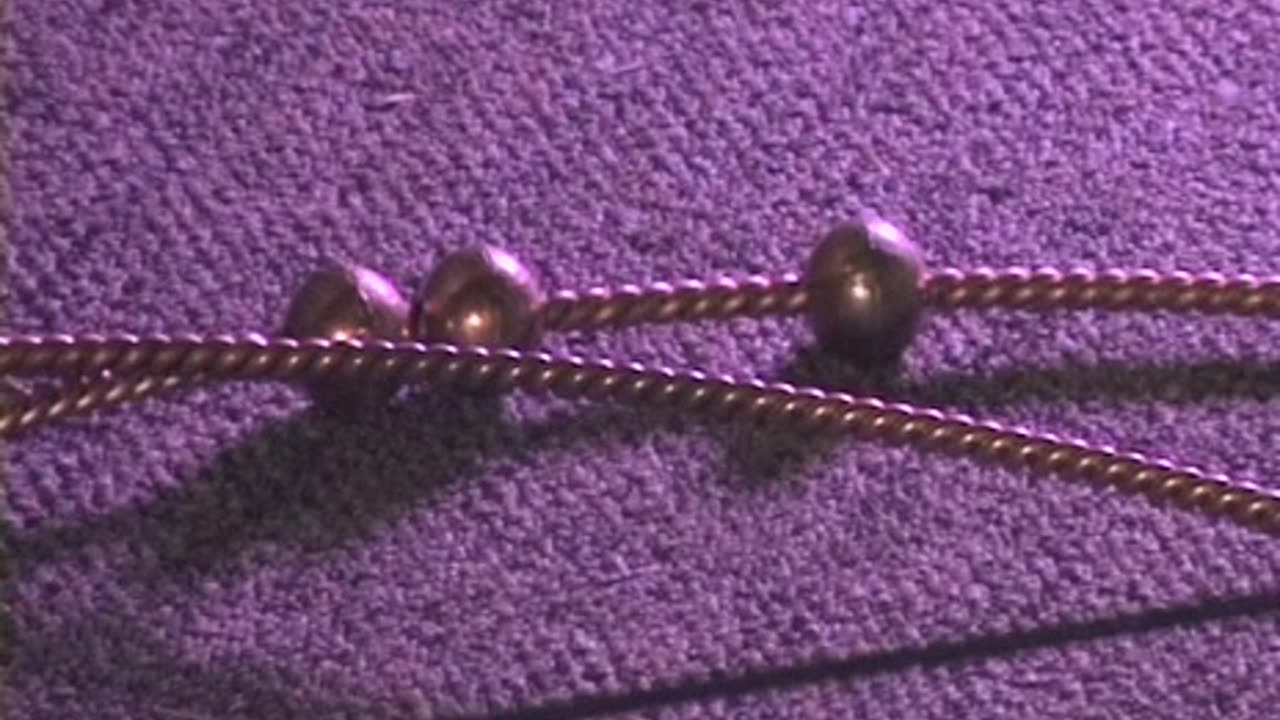 Light-Life Tensor Rings