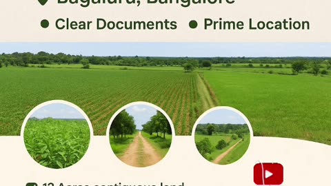 12 Acres Agricultural Land For Sale | 12 एकड़ कृषि भूमि बिक्री के लिए | #seo #realestateindia #GK |