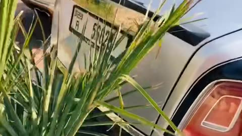 🏎️💨 The Most STUNNING Luxury Car Interior You'll See! | LuxurySportsCars