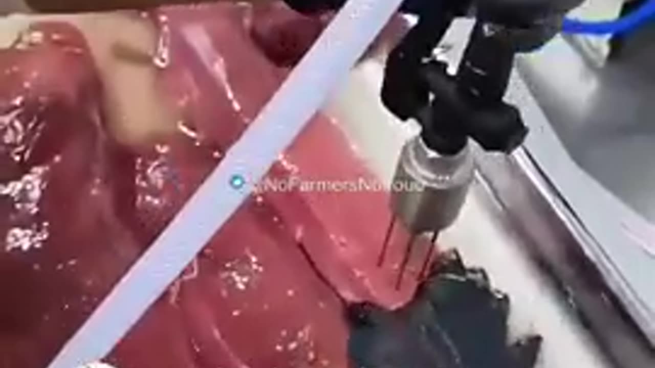 Adding water and other thing to your meat