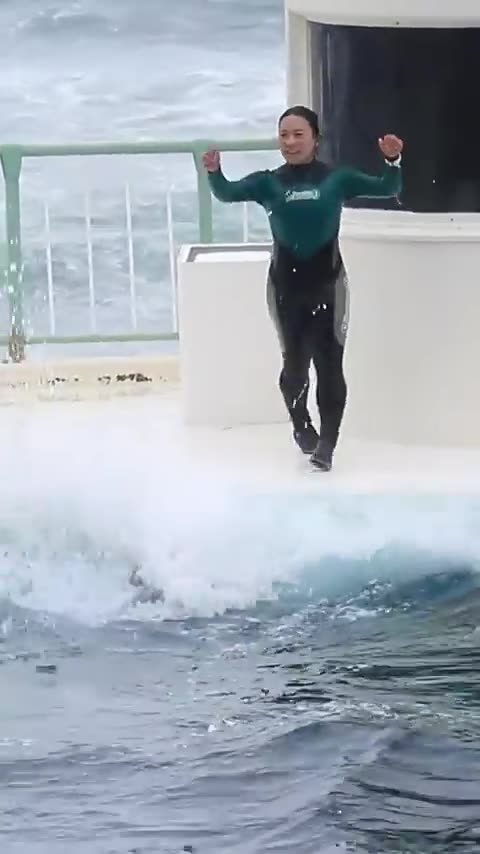 🐬 Dive into the fun and join the circle with a friendly dolphin! 🌊✨