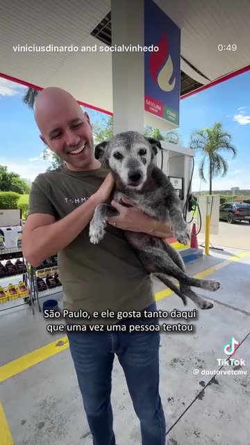 Pingo - O Cachorro com mais de 20 anos