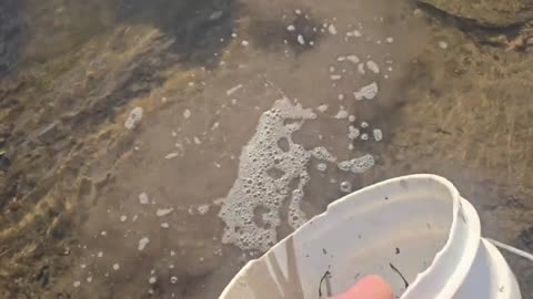 Whitebaiting and flounder trip