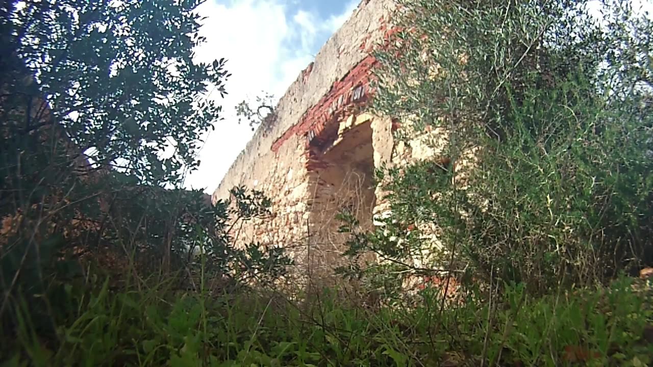 Lucian Blaga - Nu Crede Tu Vântului