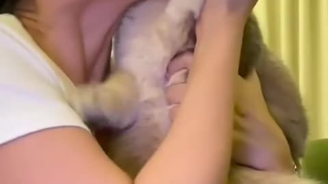 Owner and cat having fun!!!
