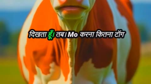 Cool Cow Vibes: Cow in Sunglasses Chewing Grass! 🐄😎 | Bolta Janwar AI