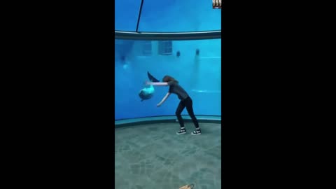 Dolphin copies girls moves🐬