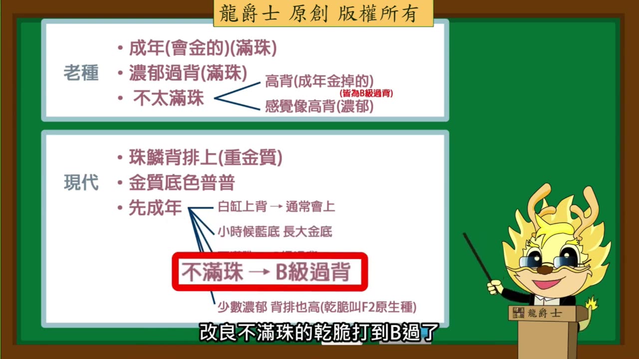【龍爵士】龍魚百科 金龍進化歷程