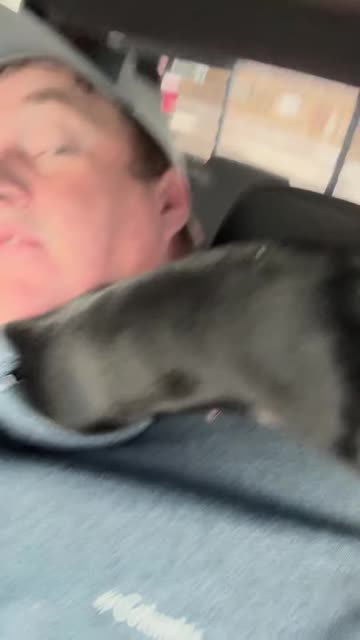 Bonnie Defeats Another Quarter Zip