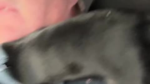 Bonnie Defeats Another Quarter Zip