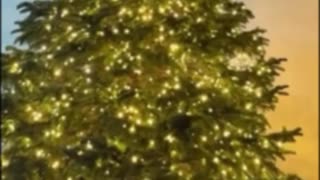 Kris Jenner Builds Dream Holiday Bunkbeds for All 13 Grandkids