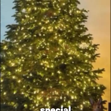 Kris Jenner Builds Dream Holiday Bunkbeds for All 13 Grandkids