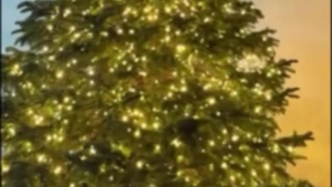 Kris Jenner Builds Dream Holiday Bunkbeds for All 13 Grandkids