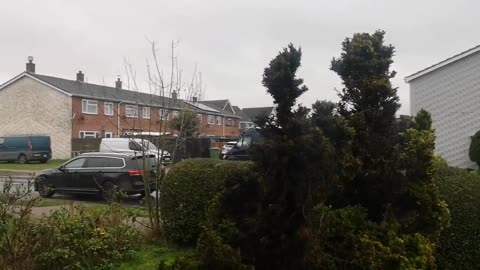 No Woolly Hat Purple Guy Sandringham Serial Killer Here