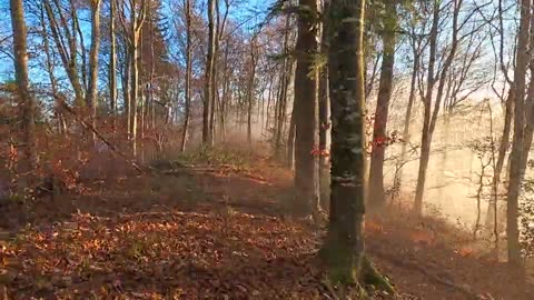 "The world is full of magical things patiently waiting for our wits to grow sharper."