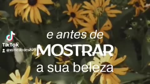 Momento de reflexão